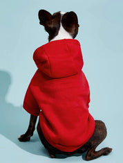 Dog Patterns  at Indie Pattern in USA