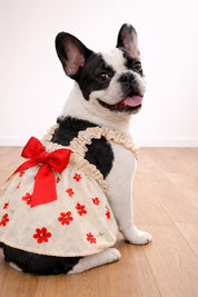 Dog Dress Sewing Pattern, XXS-5XL, Dress for Dogs Pattern, Sewing Pattern Pet, Pattern Dog, Pet Pattern, Sewing pattern for dog