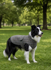 Coat Sewing Pattern for Dogs, Dog Vest Sewing Pattern, Sewing Pattern Pet, Pattern Dog,  Pet Pattern, Dog Jacket Pattern