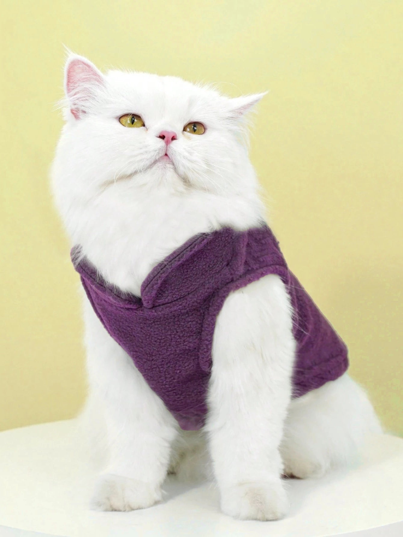 Cat Sewing Pattern, Cat Top Sewing Pattern, Sewing Pattern Pet, Pattern for Cat,  Pet Pattern, Cat Jacket, Cat Clothes Pattern