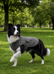 Coat Sewing Pattern for Dogs, Dog Vest Sewing Pattern, Sewing Pattern Pet, Pattern Dog,  Pet Pattern, Dog Jacket Pattern
