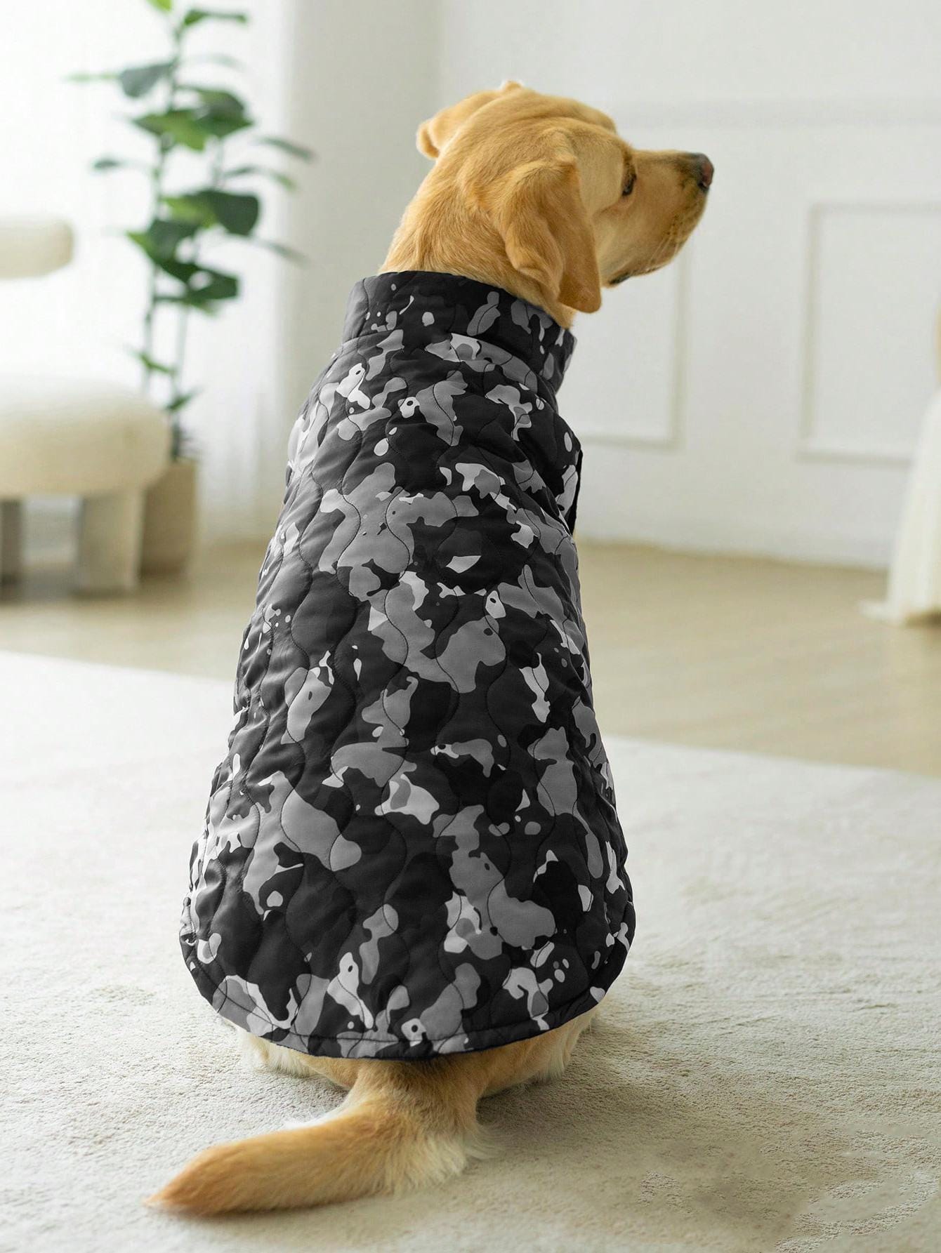 Dog Jacket Pattern, Dog Vest Sewing Pattern, Dog Coat Pattern, Sewing Pattern Dog, Pattern Dog, Pet Pattern, Dog Pattern Vest Jacket Coat