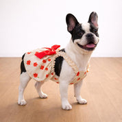 Dog Dress Sewing Pattern, XXS-5XL, Dress for Dogs Pattern, Sewing Pattern Pet, Pattern Dog, Pet Pattern, Sewing pattern for dog