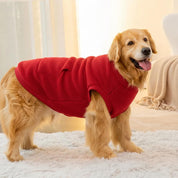 Dog Sweatshirt Sewing Pattern, Dog Pattern, Dog Sewing Pattern, Dog Vest, Pattern for dog, Dog Jacket Pattern, Dog Top Pattern, Dog Jumper
