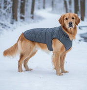 Dog Coat Sewing Pattern, Dog Vest Sewing Pattern, Sewing Pattern Pet, Pattern Dog,  Pet Pattern, Dog Jacket Pattern