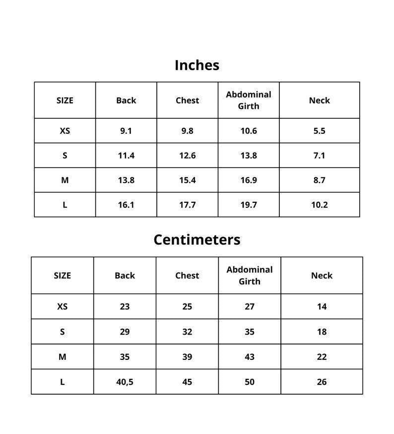 a pair of shoes with measurements for each pair