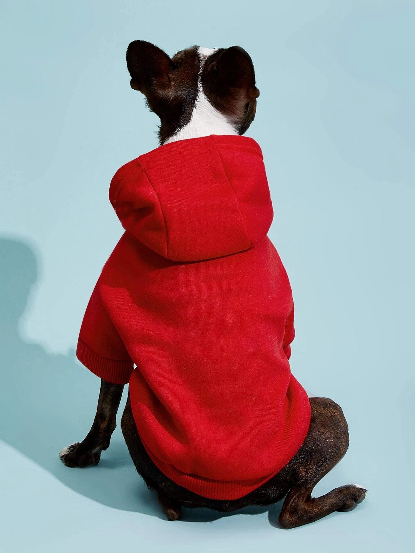 Dog Hoodie  at Indie Pattern in USA
