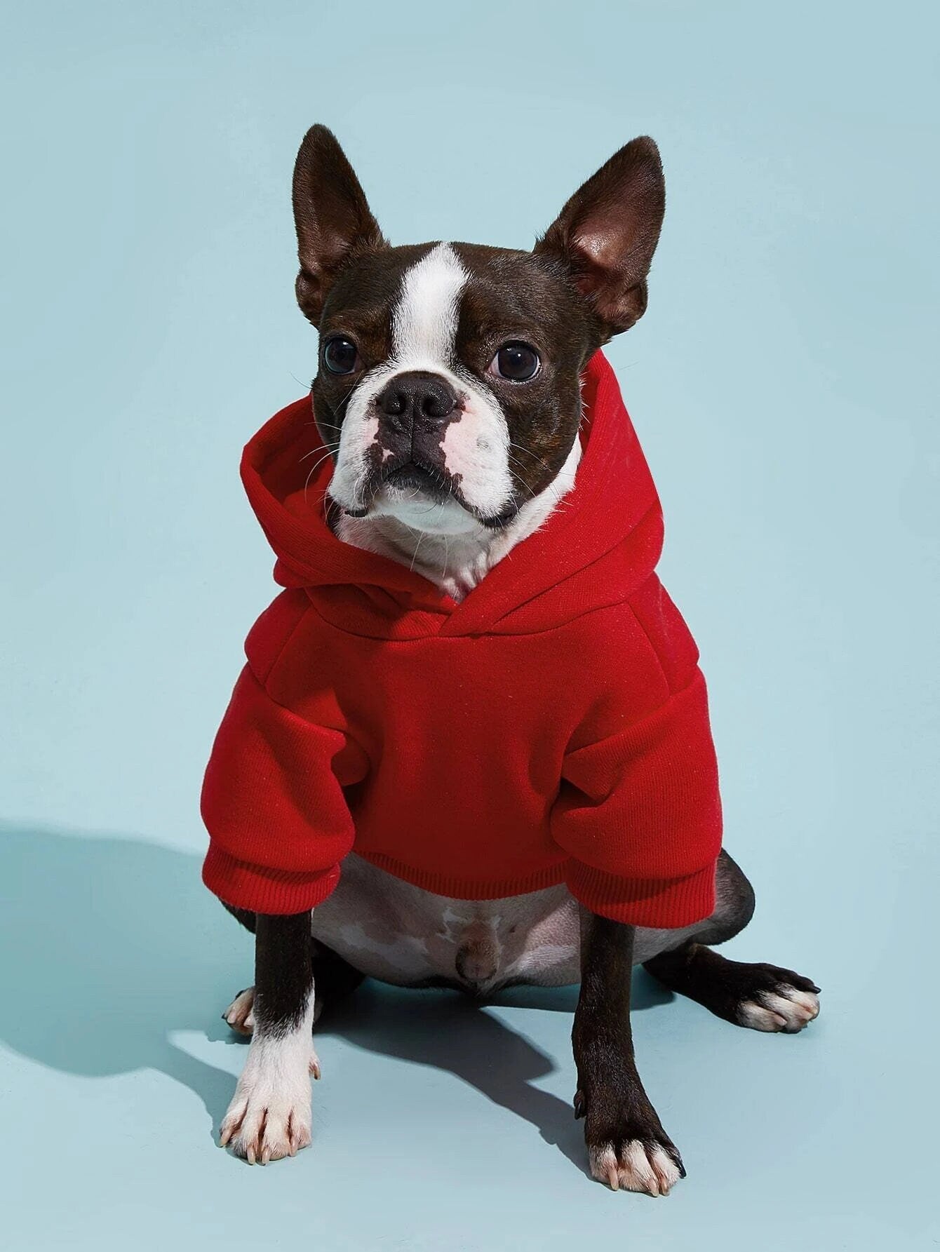 Dog Hoodie  at Indie Pattern in USA
