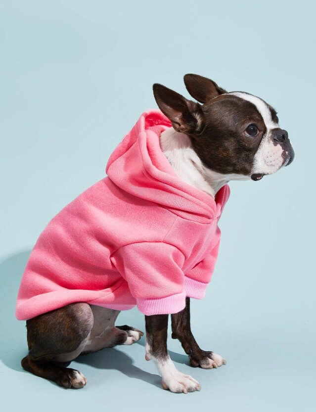 Dog Hoodie  at Indie Pattern in USA
