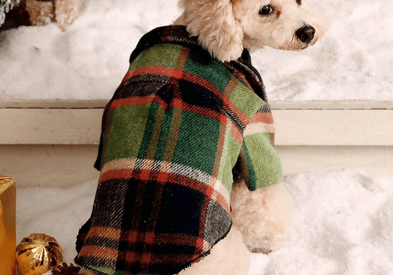 Dog Shirt  at Indie Pattern in USA
