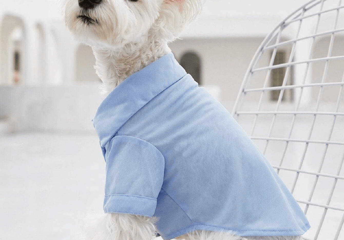 Dog Shirt  at Indie Pattern in USA
