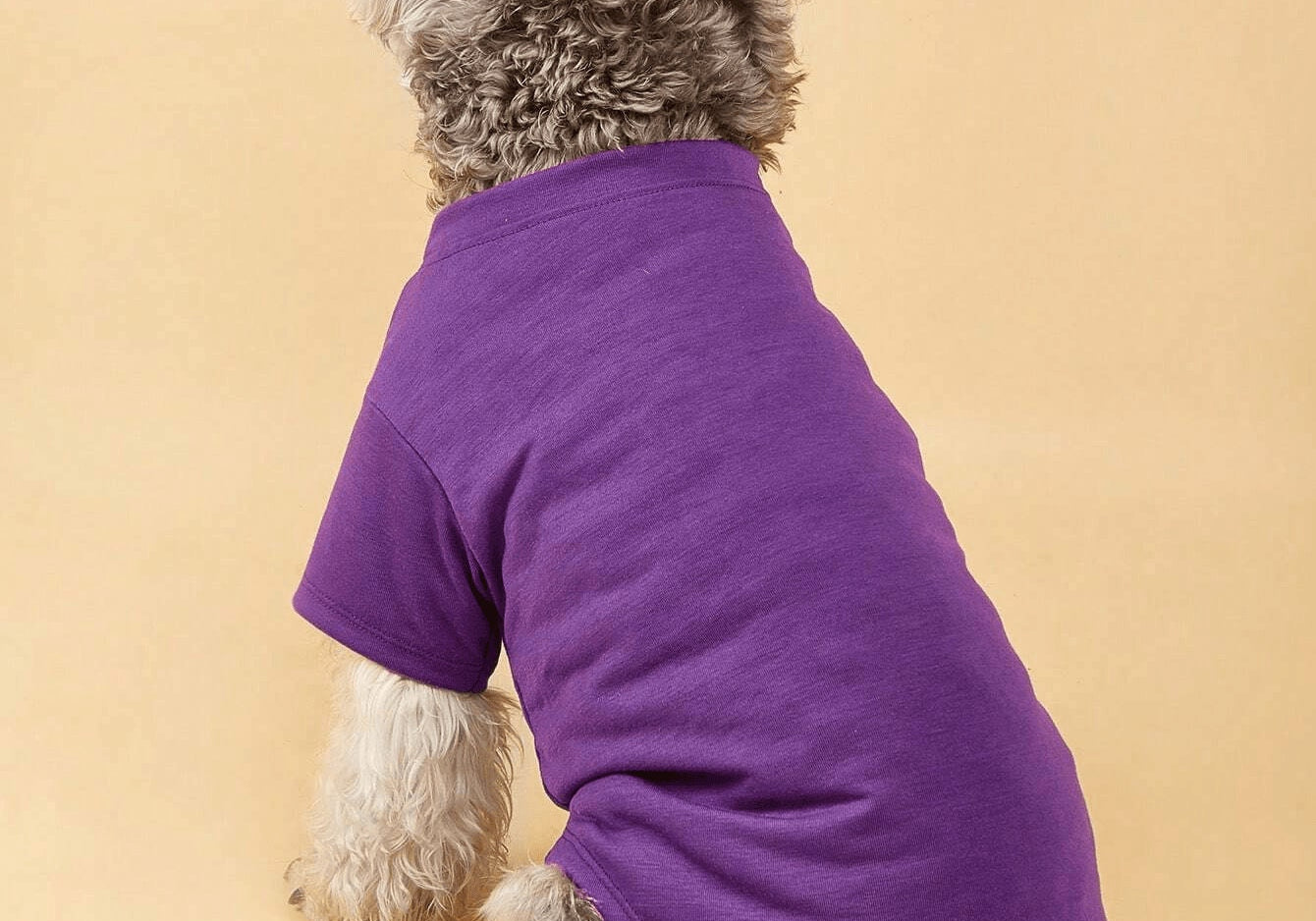 Dog T shirt  at Indie Pattern in USA
