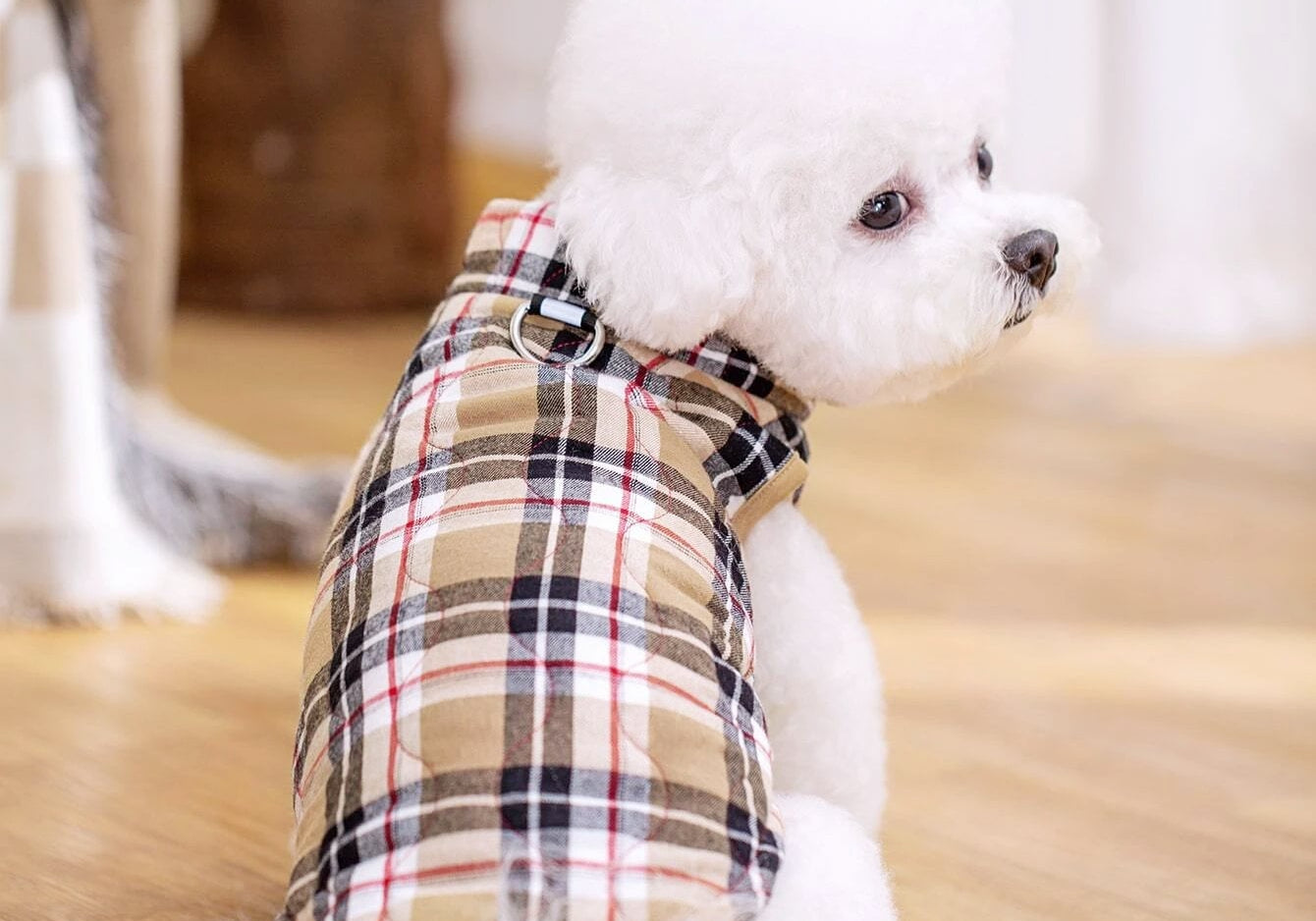 Dog Coat  at Indie Pattern in USA
